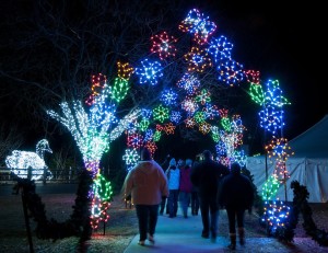 2 Detroit Zoo WIld Lights