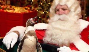 Christmas World Opening At Harrods