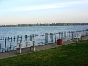 My backyard!