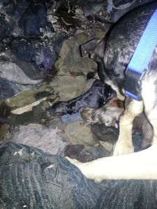 She was literally birthing on burned clothing