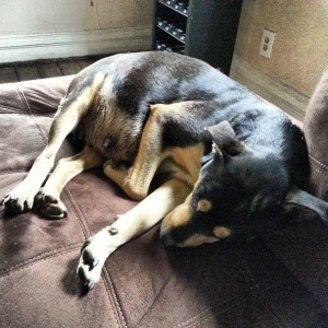 Napping while I study