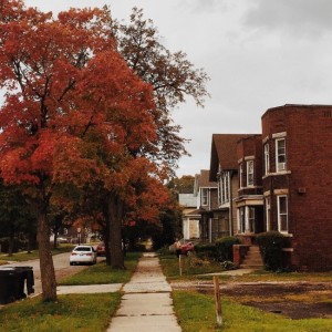 Fall in Southwest