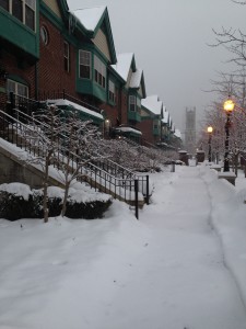 photo (3)