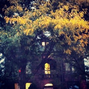 Freedom House
