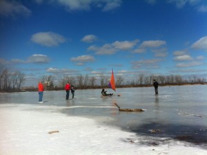 Belle Isle http://www.belleisleconservancy.org/