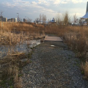 Milliken State Park wetlands