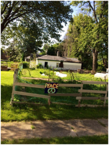 Community garden in Brightmoor