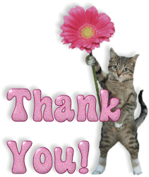 Thank-You-Cat-Glitter