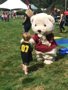 Beau the Bear