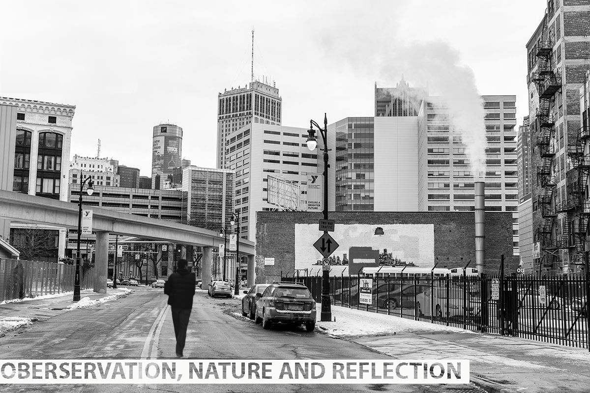 detroit-city-naias-2015_4