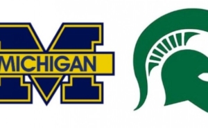 Mich v State