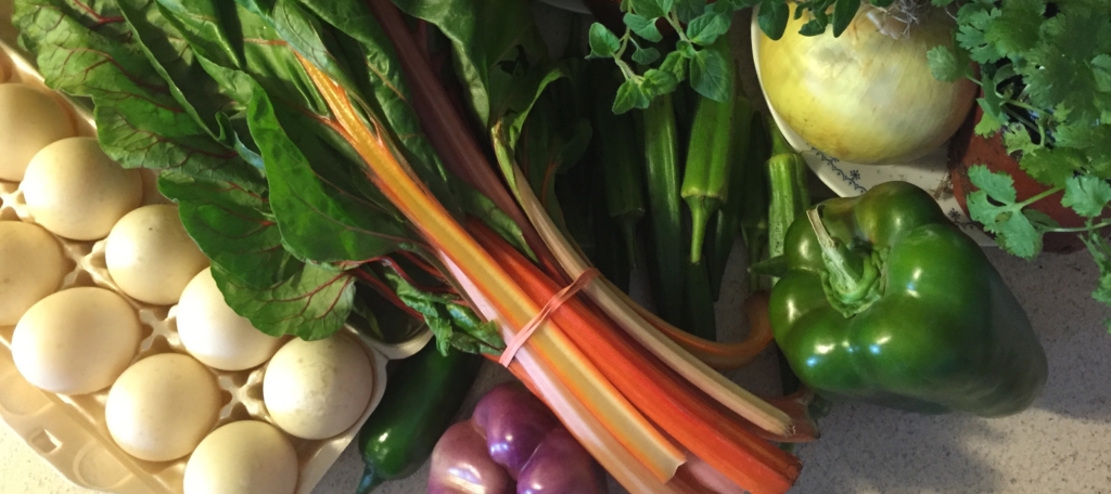 2c3a829f-5114-4aa3-8a88-0da56b2ea467-copy